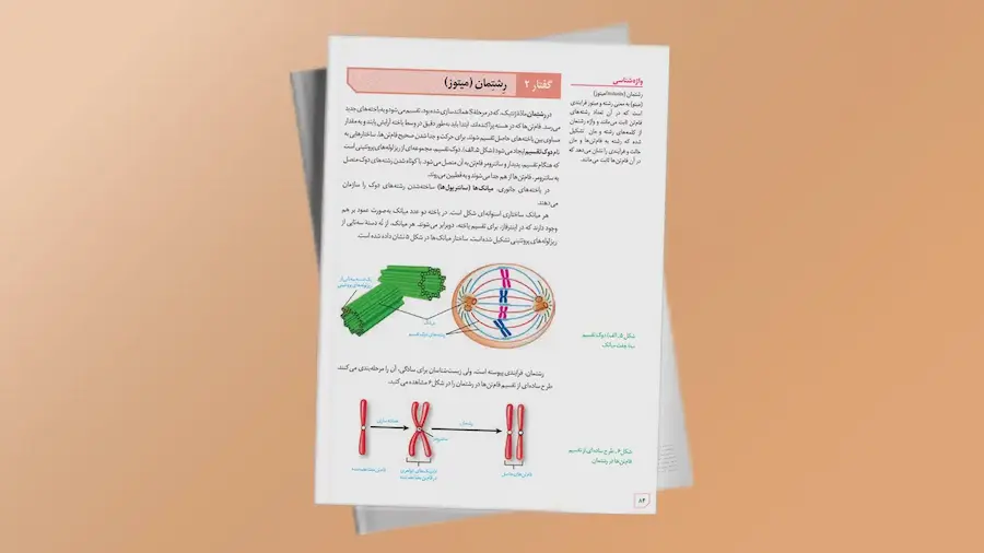 تقسیم میتوز - زیست یازدهم | فردانوش