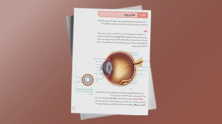 ساختار چشم - زیست یازدهم - فصل حواس | فردانوش